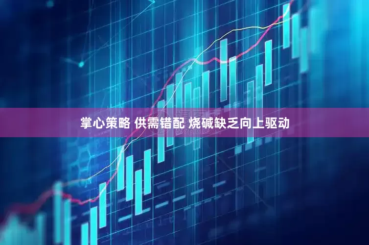 掌心策略 供需错配 烧碱缺乏向上驱动