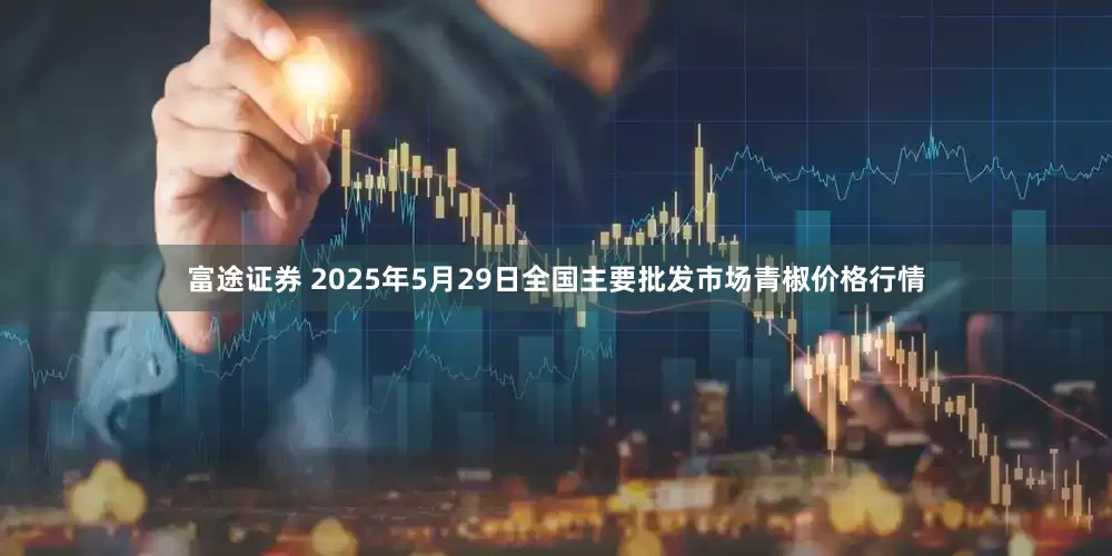 富途证券 2025年5月29日全国主要批发市场青椒价格行情